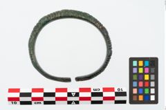 Foto von Bronzearmreif (NHMW-PRAE-025660)